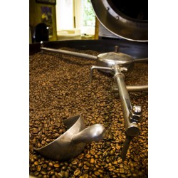 café n°309 - huehuetenango du guatemala